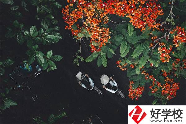 湖南分?jǐn)?shù)低選私立高中還是選職校？選職校還能統(tǒng)考嗎？