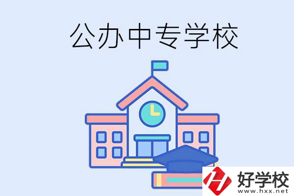 湘西一共有多少所公辦的中專學校？