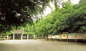 四川交通運(yùn)輸職業(yè)學(xué)校(四川交通技師學(xué)院)