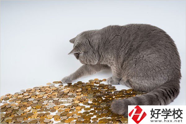 邵陽(yáng)的職高一年學(xué)費(fèi)是多少？比較便宜的學(xué)校有哪些？