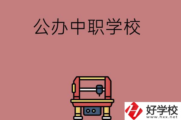 長(zhǎng)沙可以學(xué)計(jì)算機(jī)應(yīng)用專業(yè)的公辦中職學(xué)校有哪些？