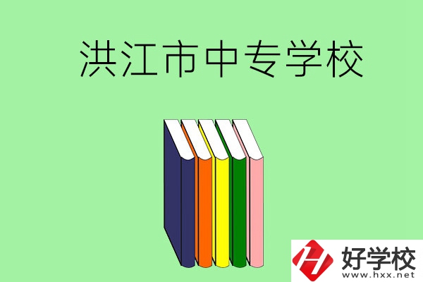 懷化洪江市有哪些職業(yè)中專學(xué)校？