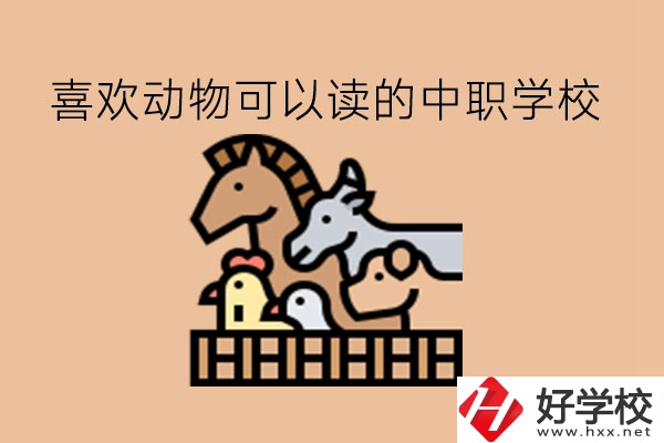 喜歡動(dòng)物的學(xué)生，可以讀這些中職學(xué)校!