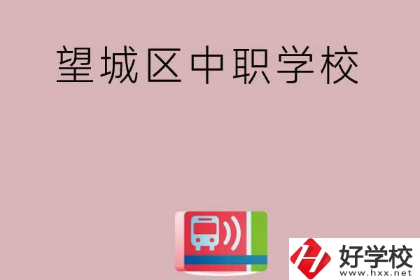 長沙望城區(qū)有哪些中職學(xué)校？
