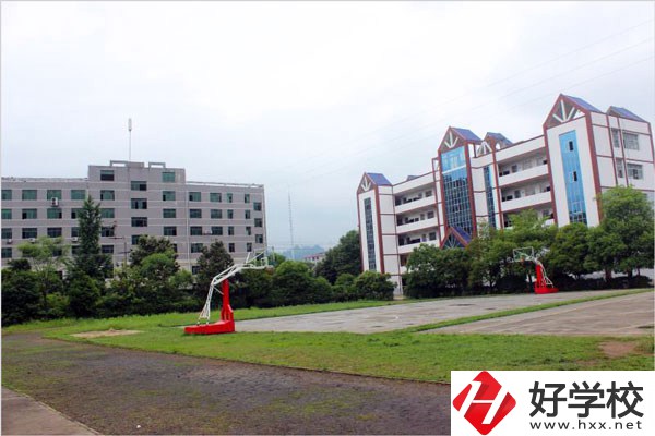 城步苗族自治縣職業(yè)中專學(xué)校開設(shè)了哪些專業(yè)？
