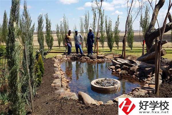 在湖南中職學(xué)哪些專業(yè)更容易考本科？