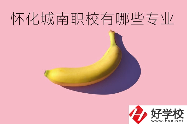 懷化城南職業(yè)學(xué)校有哪些專(zhuān)業(yè)？學(xué)校好不好？