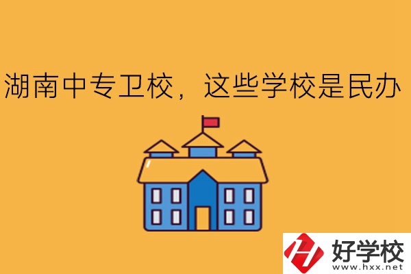 湖南中專(zhuān)衛(wèi)校，這些學(xué)校是民辦!