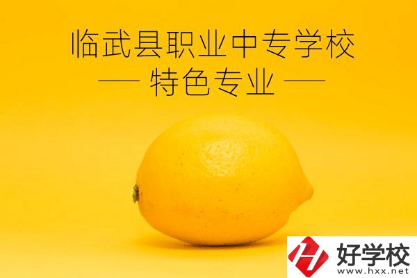 臨武縣職業(yè)中專學校好嗎？有哪些特色專業(yè)？