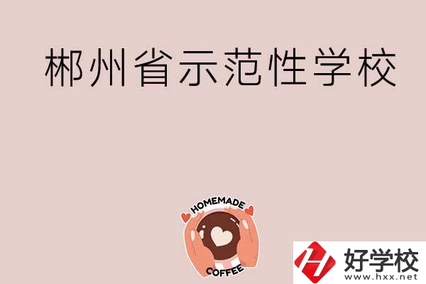 郴州有省示范性的公辦中職學校嗎？