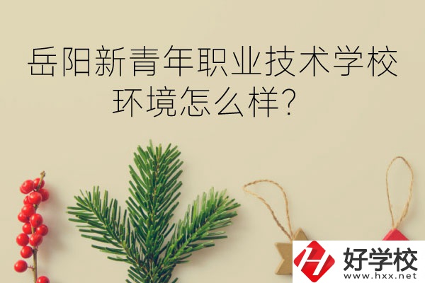 岳陽新青年職業(yè)技術(shù)學(xué)校好不好？環(huán)境怎么樣？