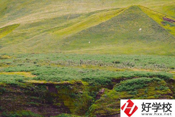 湖南衡南職業(yè)中等專業(yè)學校好嗎？學校有什么優(yōu)勢？
