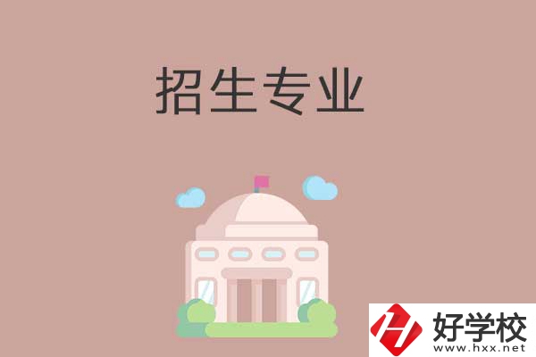 益陽有哪些高職院校設立了中職部？招生專業(yè)有哪些？