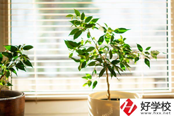 湖南省商業(yè)技師學(xué)院有哪些教學(xué)特色？報(bào)考有何要求？