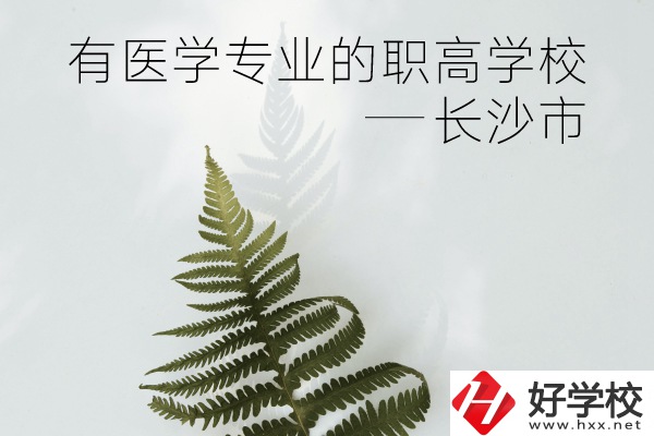 長沙市哪些職高學校有醫(yī)學專業(yè)？