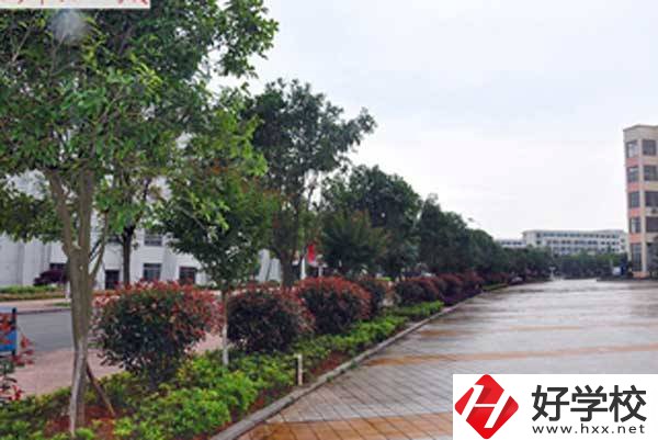長沙市電子工業(yè)學(xué)校開設(shè)了哪些專業(yè)，附招生要求？