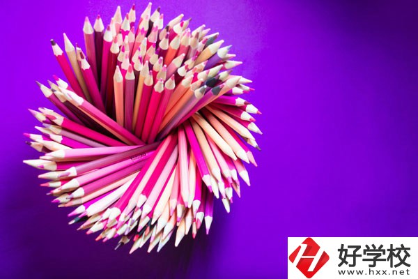 在懷化有什么職?？梢詫W習幼師？好不好？