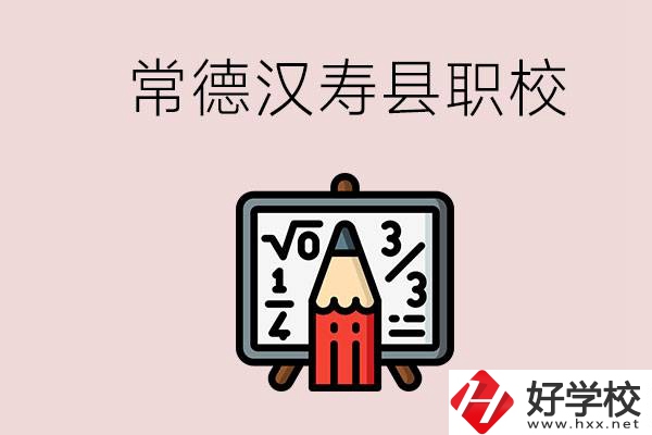 常德的漢壽縣有什么職校？是公辦的嗎？