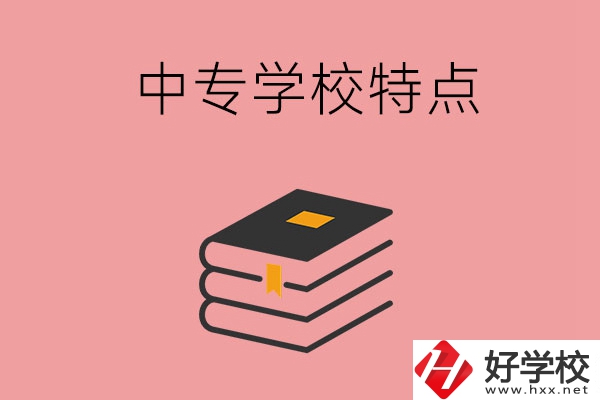 湖南省正規(guī)的中專學(xué)校，具備哪些特點？