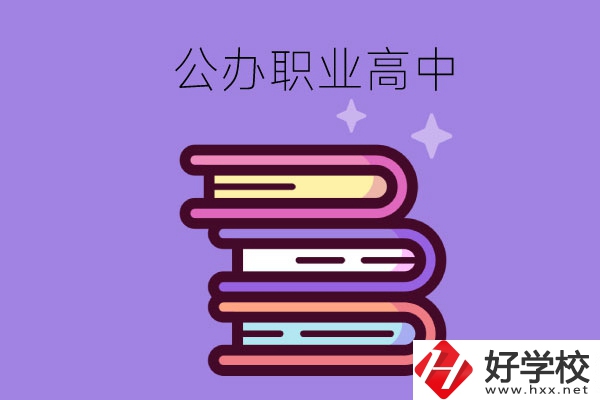 長(zhǎng)沙市有哪些公辦職業(yè)高中學(xué)校？