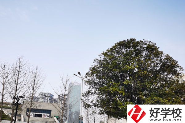 益陽科技工程學(xué)校有哪些專業(yè)？就業(yè)如何？