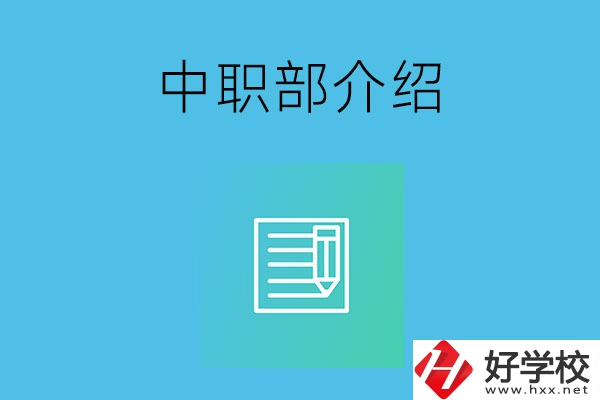 湘潭院校中職部介紹，這幾所學(xué)校你知道嗎？