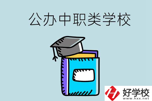 湘西的公辦中職類學校一共有多少所？