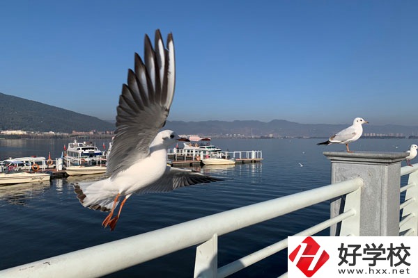 準(zhǔn)備讀中專，衡陽縣職業(yè)中專好不好？