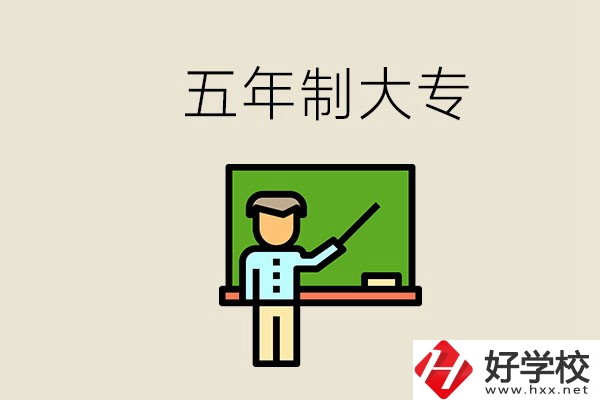 岳陽有哪些五年制大專？畢業(yè)了怎么發(fā)展？