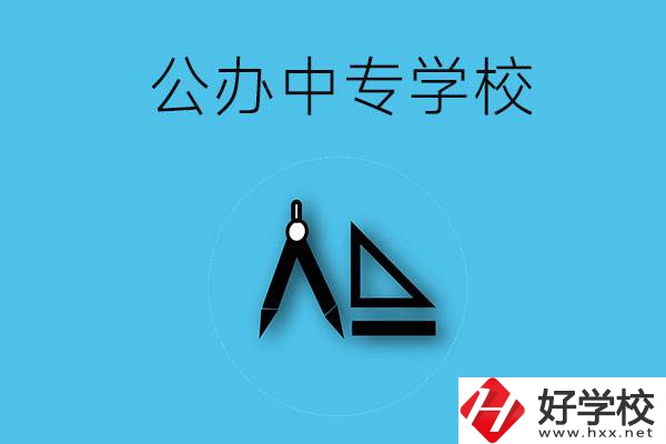 湘西有哪些公辦的中專學校？