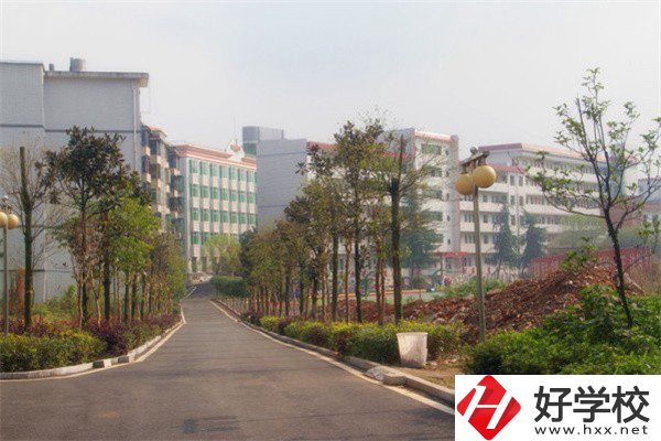 益陽有哪些高級技校？學(xué)校有什么亮點？