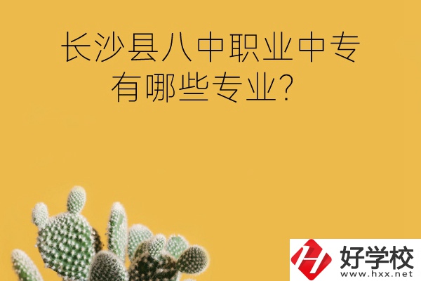 長(zhǎng)沙縣八中職業(yè)中專好不好？有哪些專業(yè)？