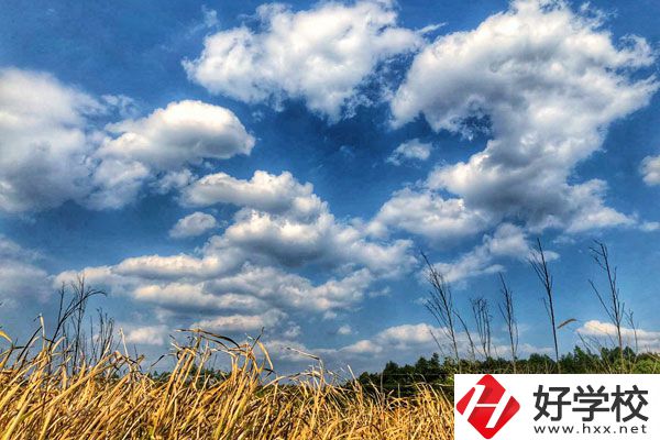 衡陽市瀟湘衛(wèi)生中等專業(yè)學(xué)校有哪些特色專業(yè)？