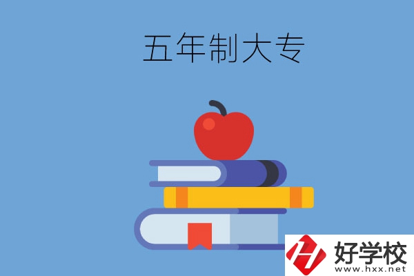 長(zhǎng)沙開(kāi)設(shè)教育類專業(yè)的五年制大專有哪些？