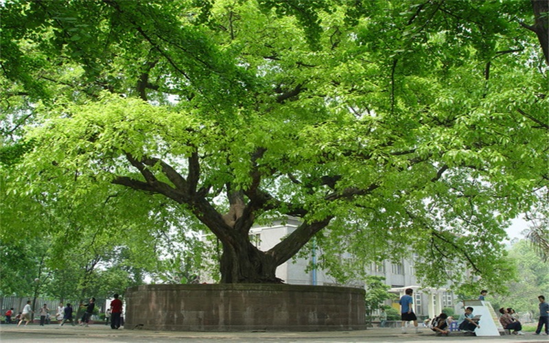 2024年廣東省高州農業(yè)學校有哪些專業(yè)
