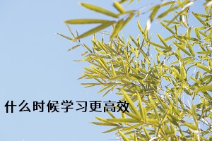 什么時候?qū)W習(xí)更高效