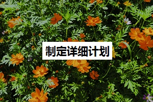 制定詳細(xì)計劃