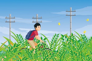 專(zhuān)升本考兩門(mén)科目如何復(fù)習(xí)