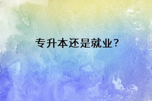 專升本還是就業(yè)？