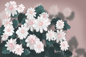 能否報考？
