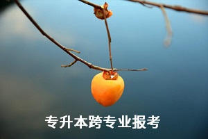 全日制統(tǒng)招專升本考試能跨專業(yè)報考嗎？有何限制？