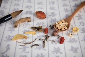 湖北中醫(yī)藥大學(xué)專升本專業(yè)