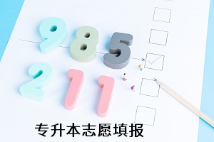 專(zhuān)升本志愿填報(bào)