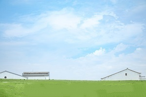 普通專升本招生對象及考試機(jī)會(huì)