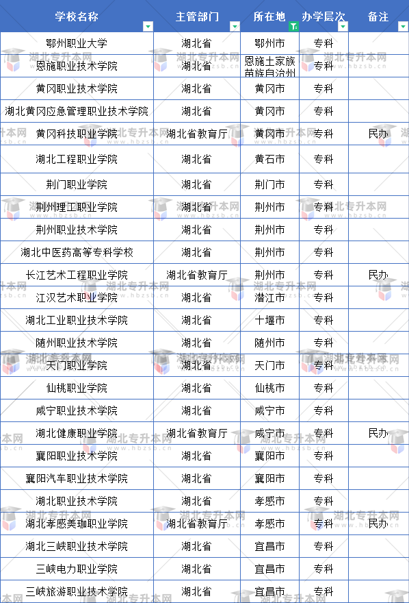 武漢市外的專科學校