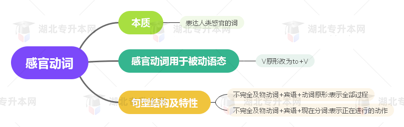 普通專升本英語要掌握多少種語法？25張思維導(dǎo)圖教會(huì)你！